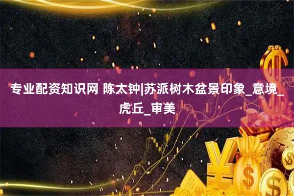专业配资知识网 陈太钟|苏派树木盆景印象_意境_虎丘_审美