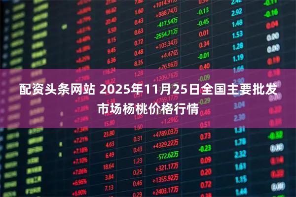 配资头条网站 2025年11月25日全国主要批发市场杨桃价格行情